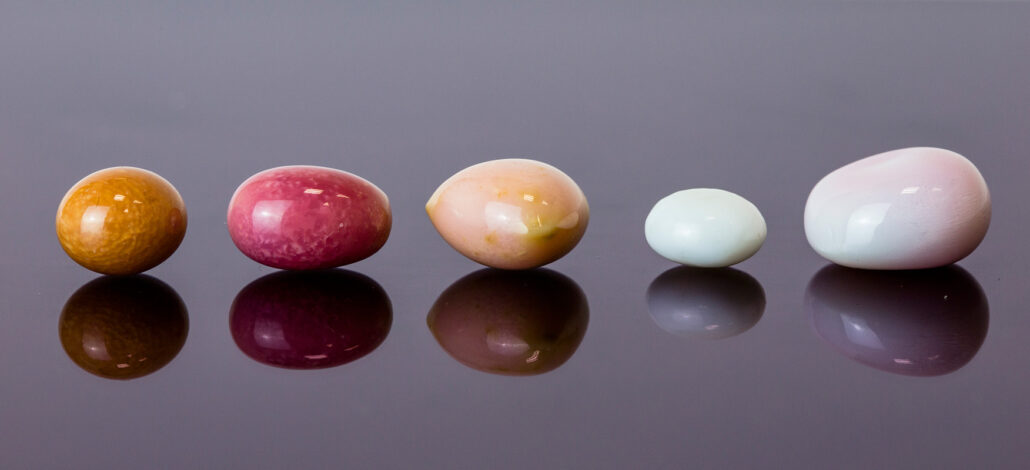 A variety of conch pearl colors, shapes and sizes in a line.